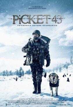 43-я застава индийский фильм